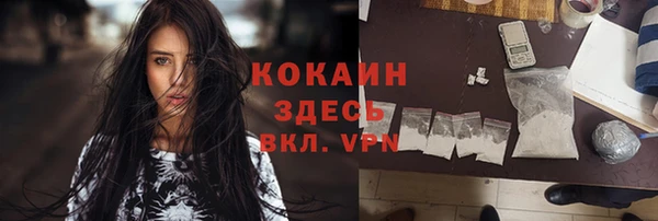 крисы Алексеевка