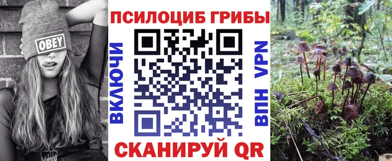 Галлюциногенные грибы Psilocybe как найти закладки Кимры